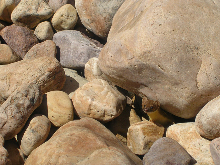DSCN0686